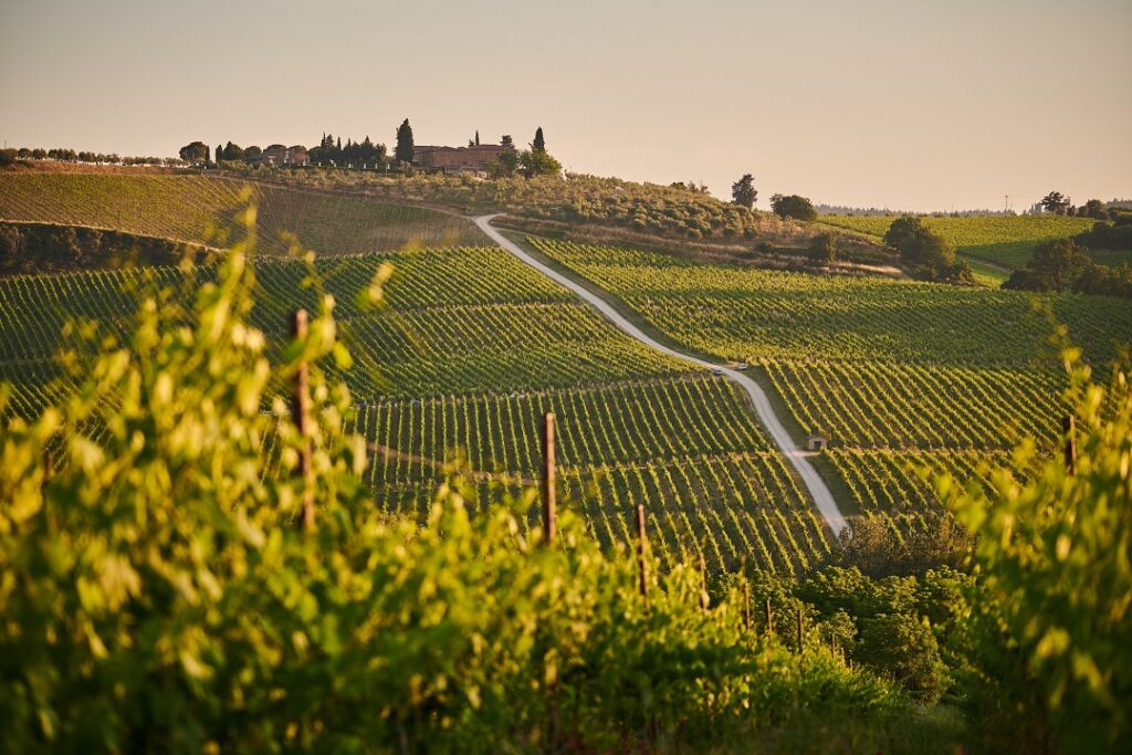 sebastus, wine regions, wine regions of Italy, wine cruises, wine cruise, wine regions of spain, wine regions of europe