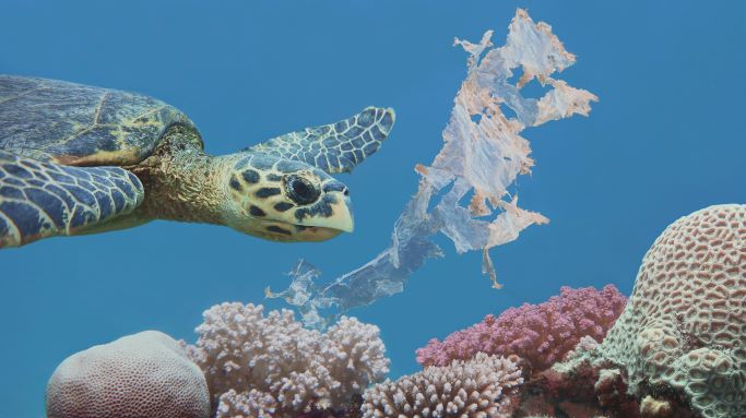 Plastik, das im Ozean schwimmt und das wilde Leben gefährdet